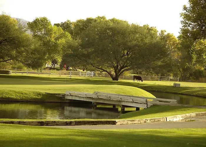 Golf & Tubac