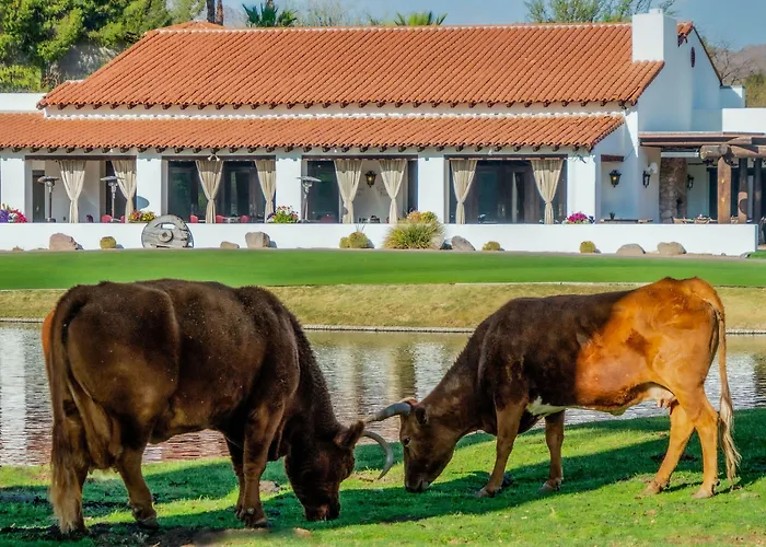 Ośrodek wypoczynkowy Golf &